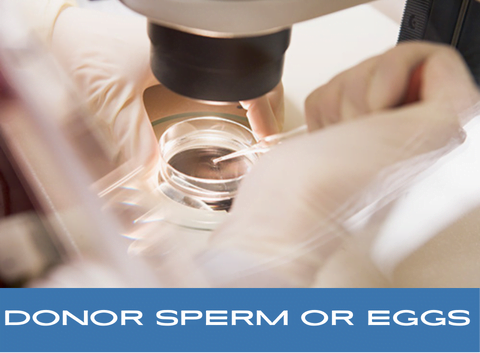 Donor sperm or eggs