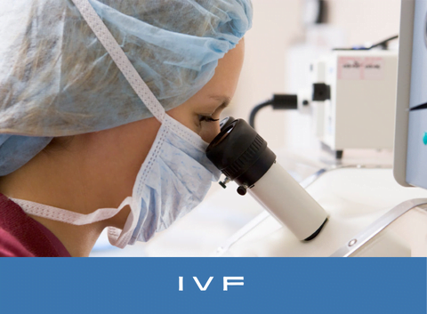 In vitro fertilization (IVF)